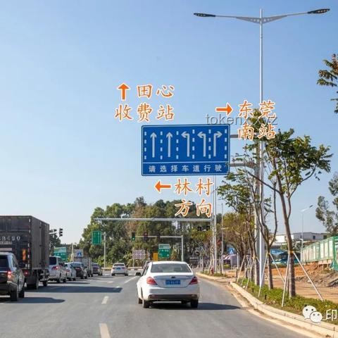 东莞高架路车道变更趋势与安全提升预测